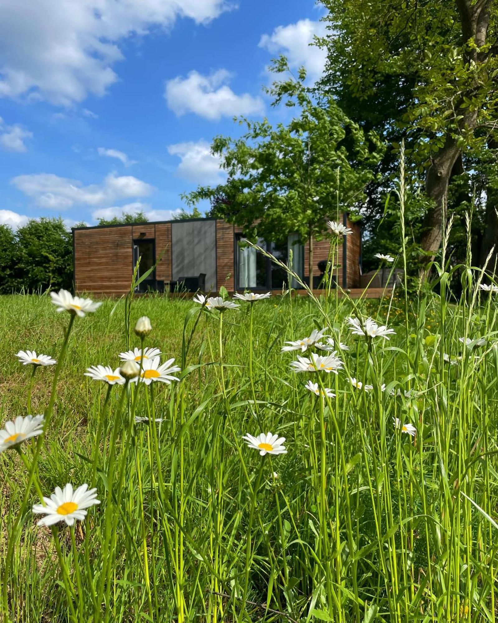 Camping Pod Lipami
